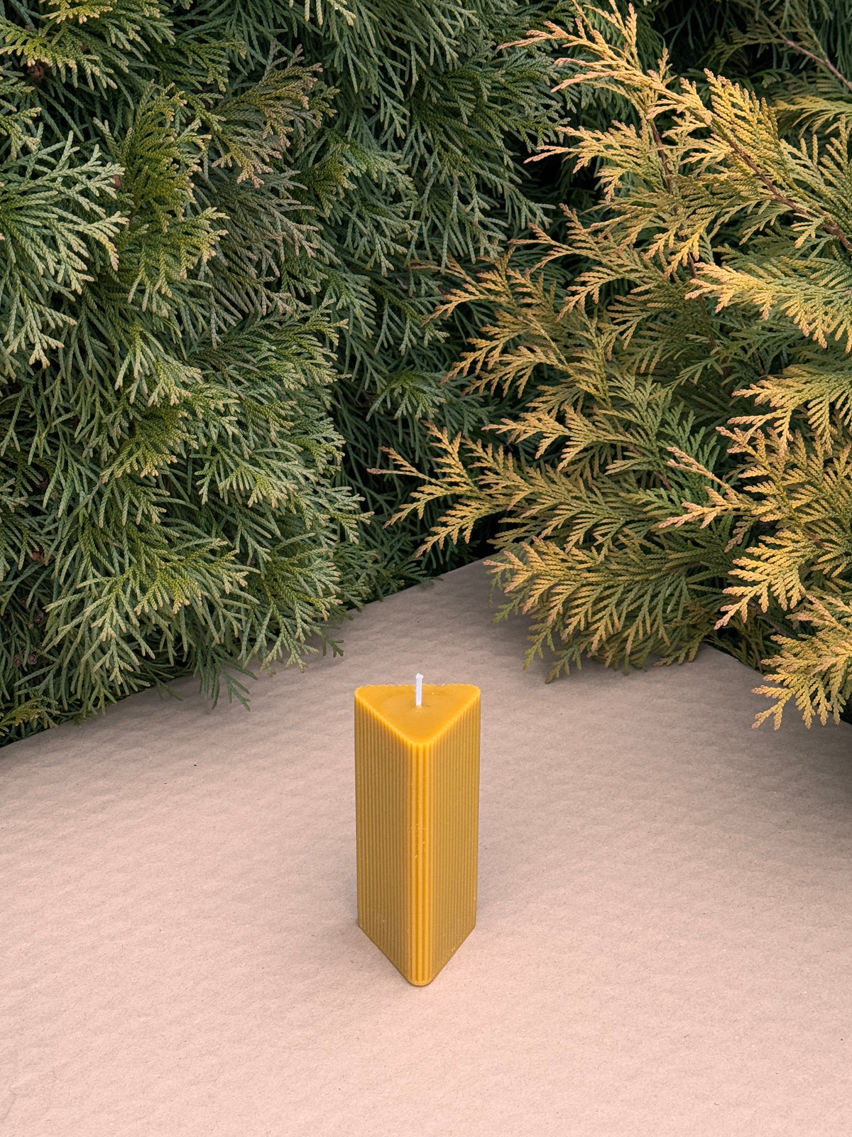 Triangle Fluted Pillar beeswax candle on a pink surface with green conifer branches behind