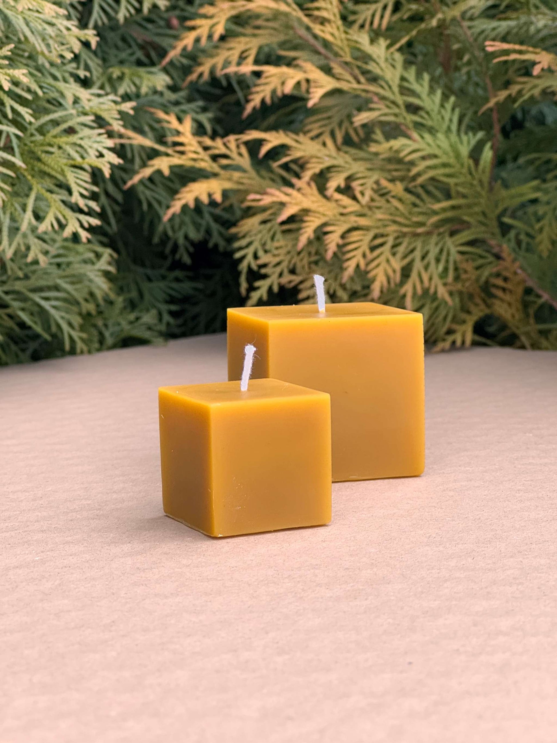 CUTE CUBES silicone candle molds in small and medium sizes, set against greenery.