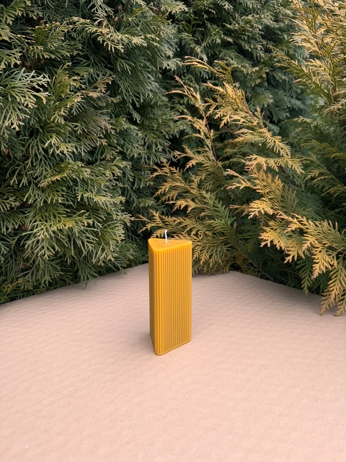 Small Triangle Fluted Pillar beeswax candle standing far back on pink fabric by conifer branches