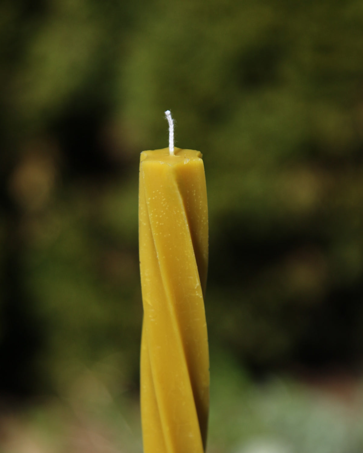 Beeswax taper candle made using the twisted daily silicone mould