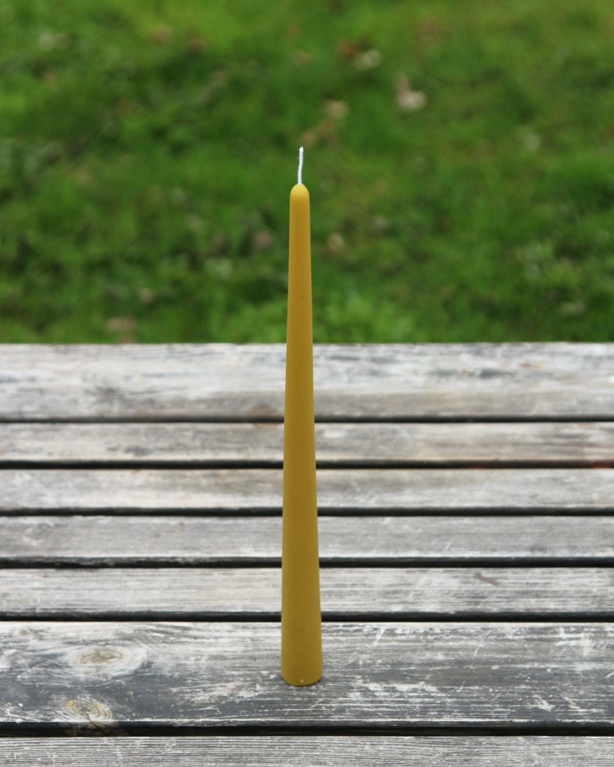 Close-up of the smooth surface on the beeswax taper
