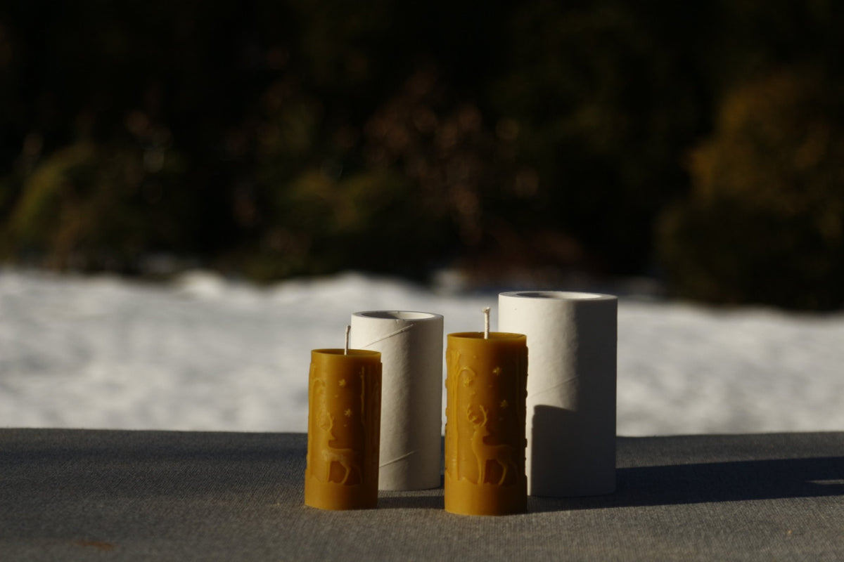 Deers beeswax candles with their upright silicone moulds in low winter sun, dark background