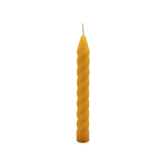 Christmas Tree Candles (2 Options) beeswax candle, white background studio photo