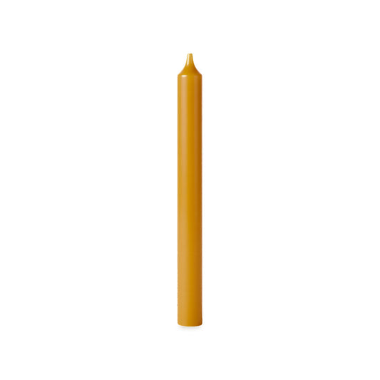 Church Christmas Tree beeswax candle, white background studio photo