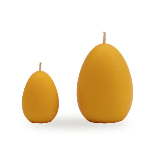 Egg beeswax candle, white background studio photo