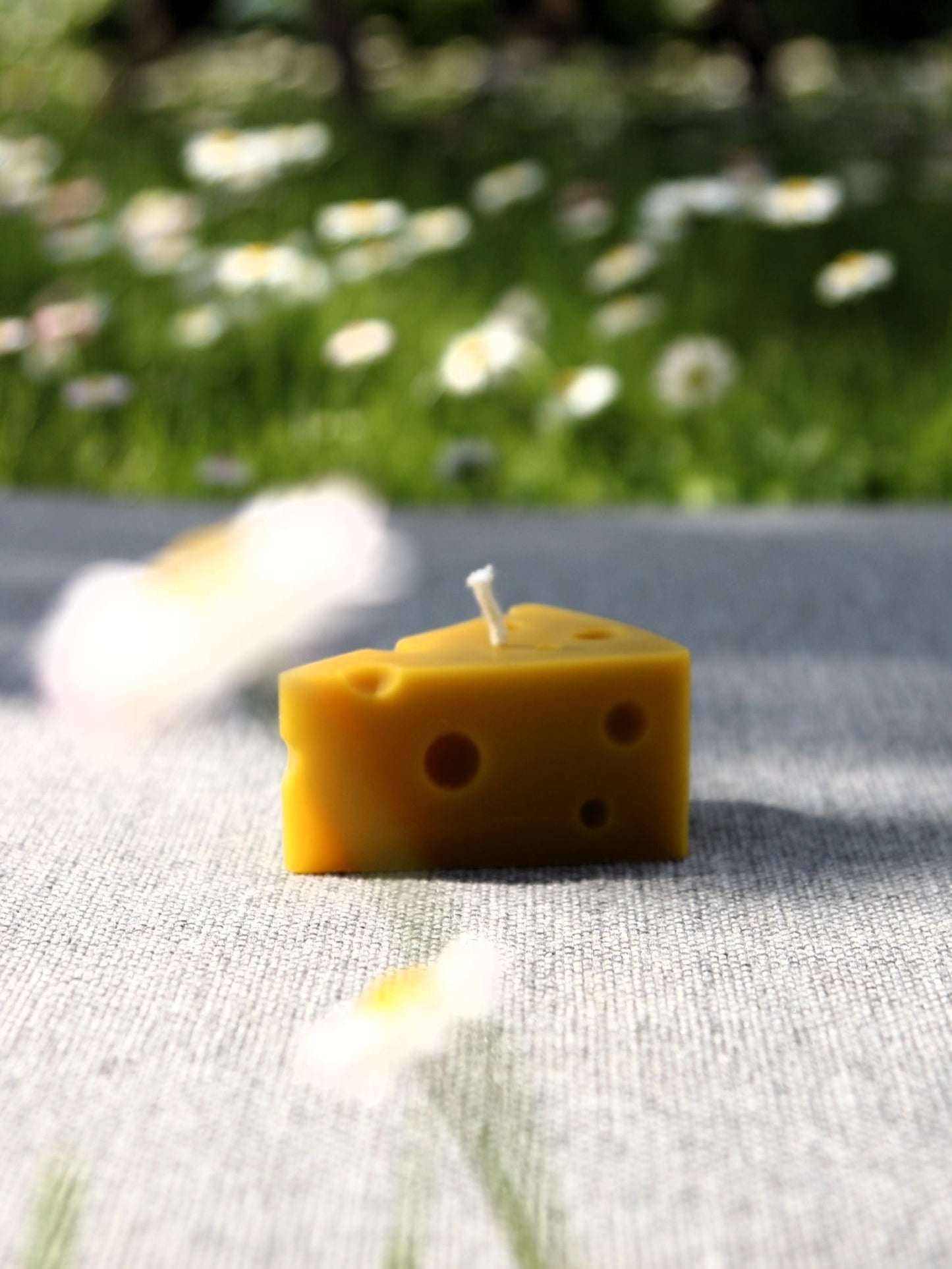 CHEESE I Beeswax candle mold