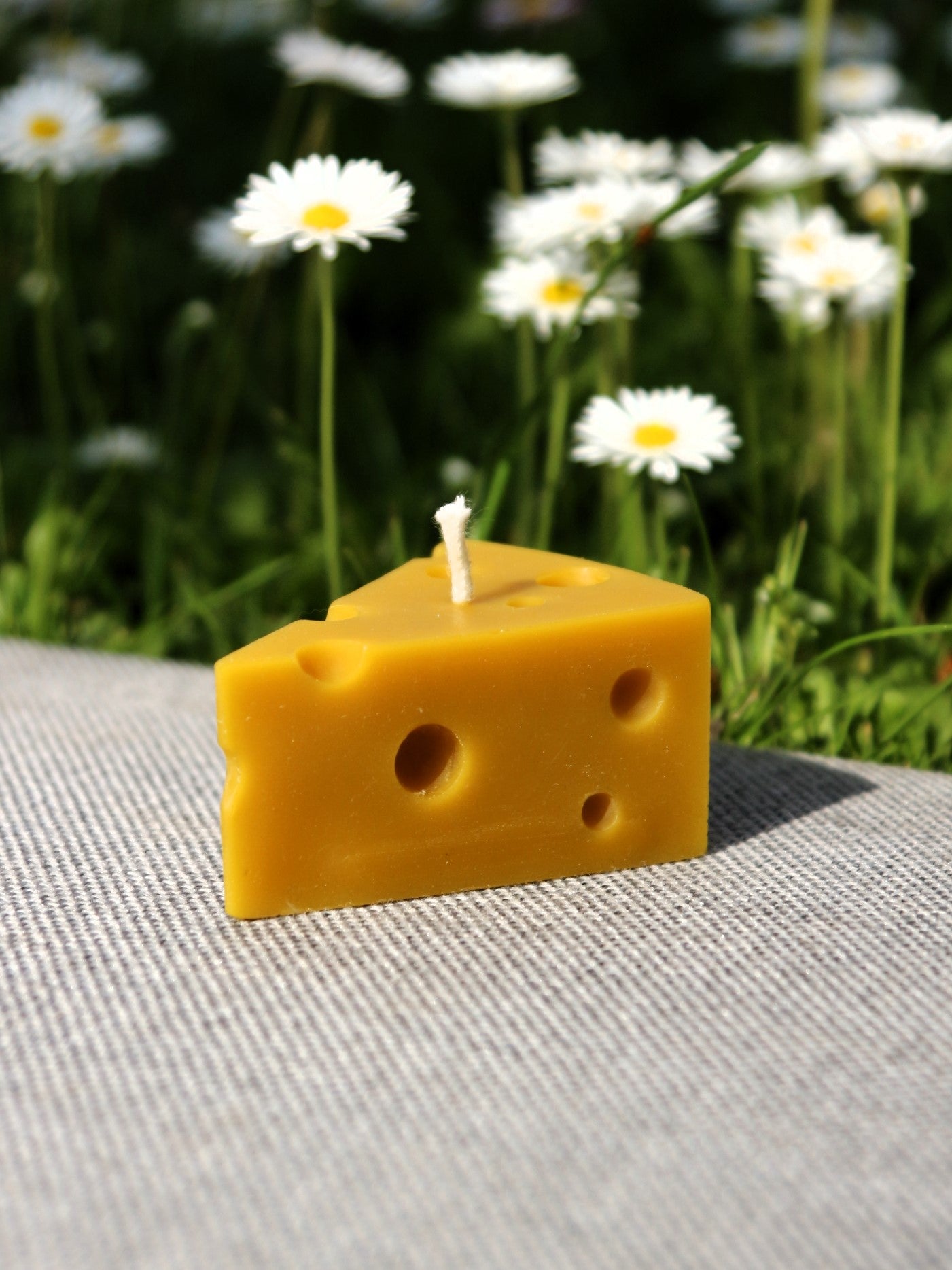 CHEESE I Beeswax candle mold