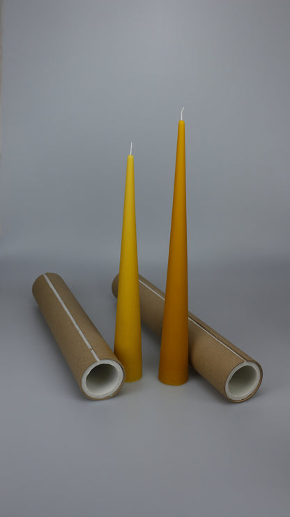 Two beeswax cone candles between cardboard display tubes lying on their side