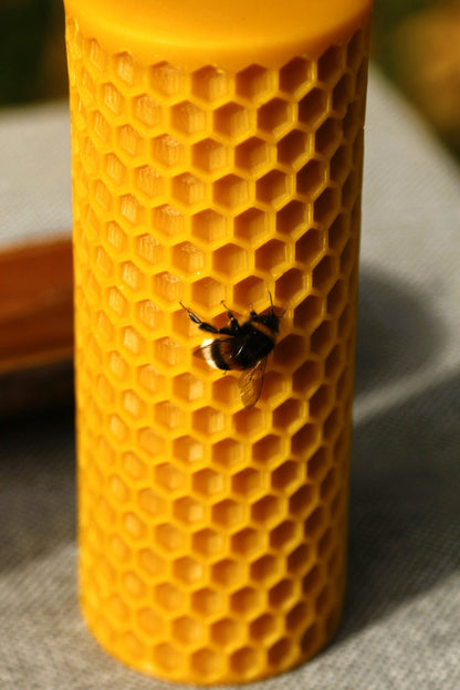 Bee Cells pillar beeswax candle and silicone mould