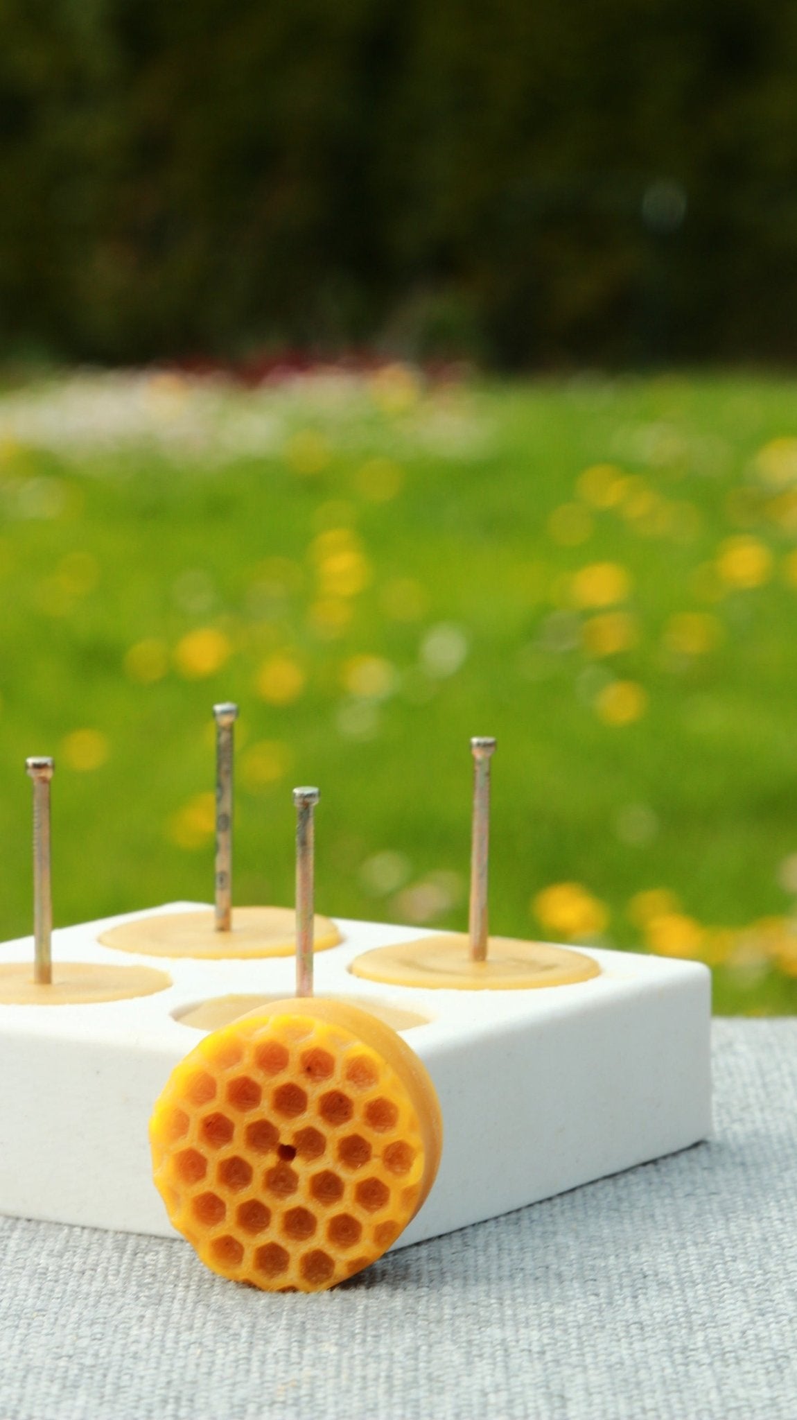 BEE CELLS TEA LIGHTS - Latvian Candles