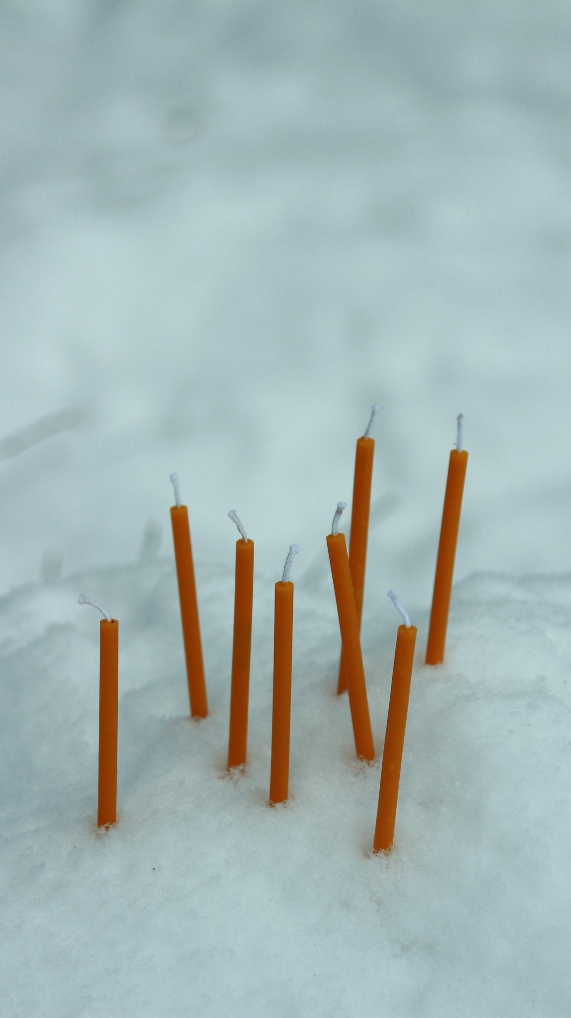 Church Christmas Tree taper beeswax candle and silicone mould