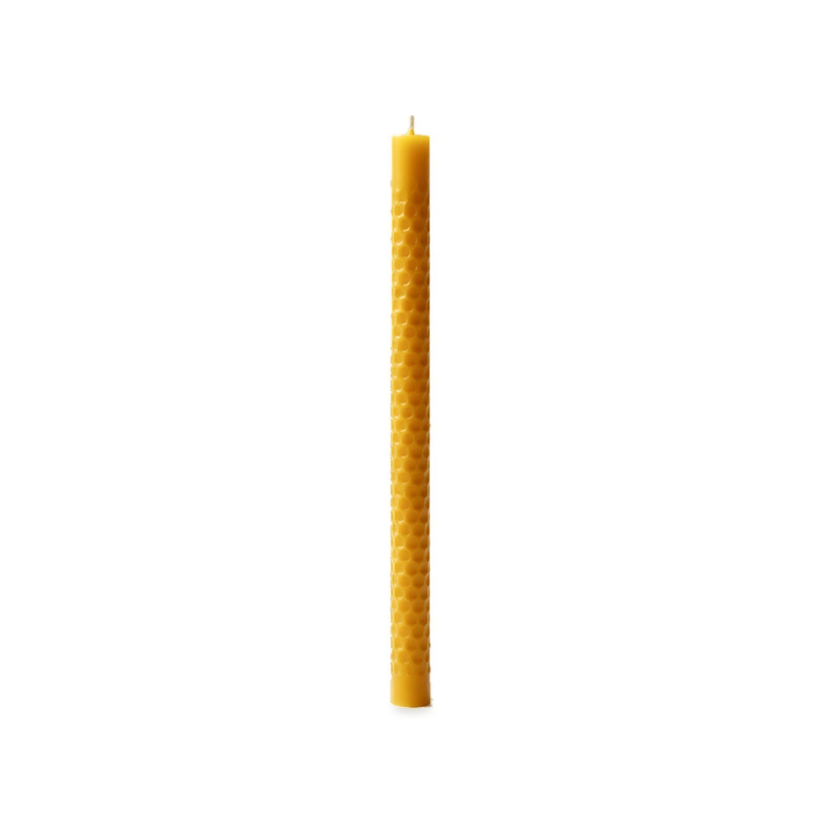 Single thin Le Petit Bruxelles beeswax taper with fine surface texture on a white background