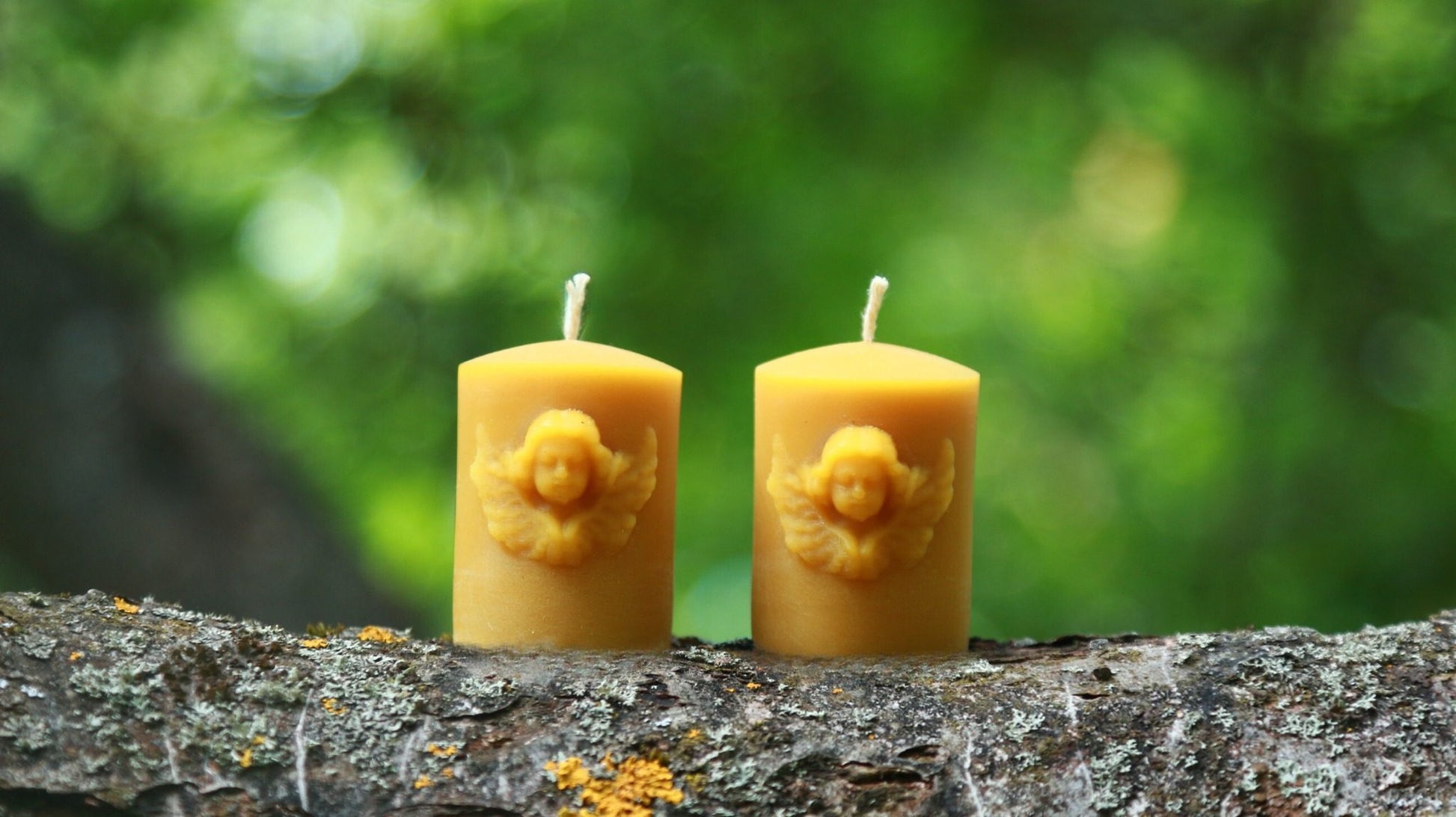 Two beeswax candles with floral designs on a tree branch against a green blurred background