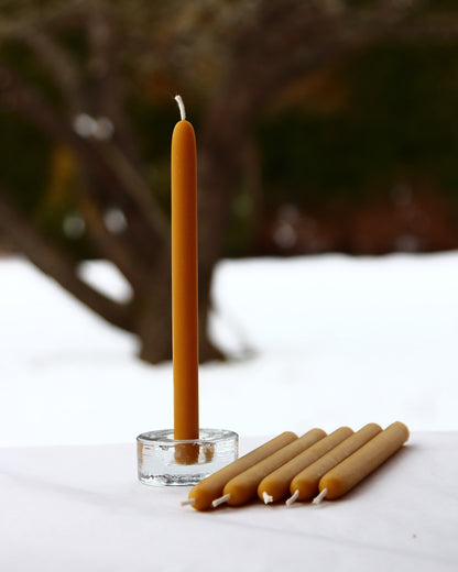 Patricia taper beeswax candle and silicone mould