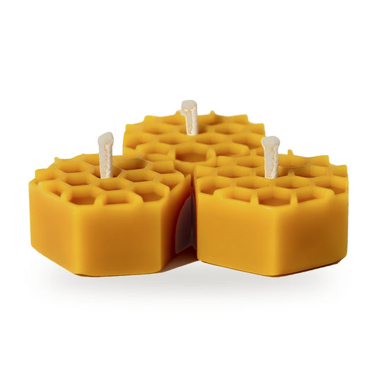 Bee Cells Hexagon Tea Lights beeswax candle, white background studio photo