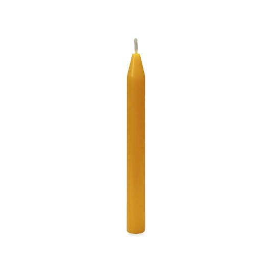 Christmas Tree (Plain) 3 Variations beeswax candle, white background studio photo