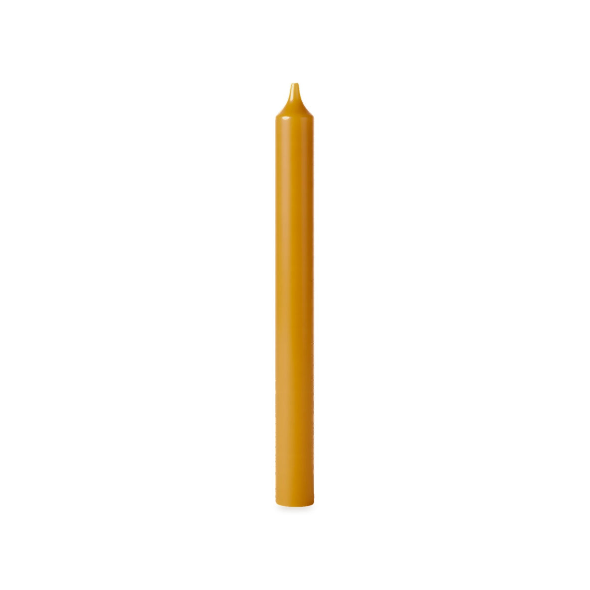 Church Christmas Tree beeswax candle, white background studio photo